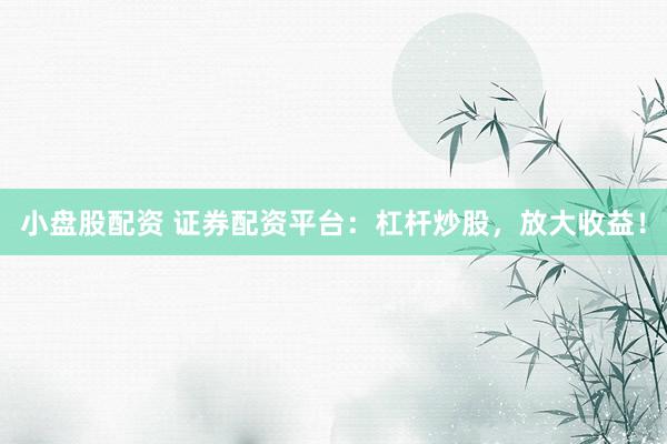 小盘股配资 证券配资平台：杠杆炒股，放大收益！