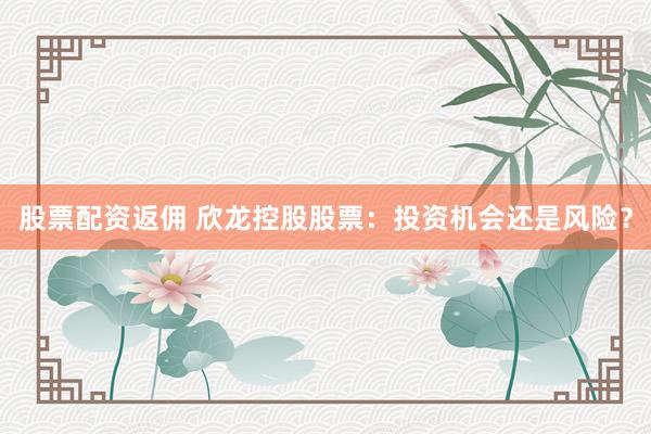 股票配资返佣 欣龙控股股票：投资机会还是风险？