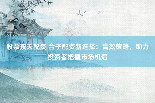 股票按天配资 合子配资新选择：高效策略，助力投资者把握市场机遇