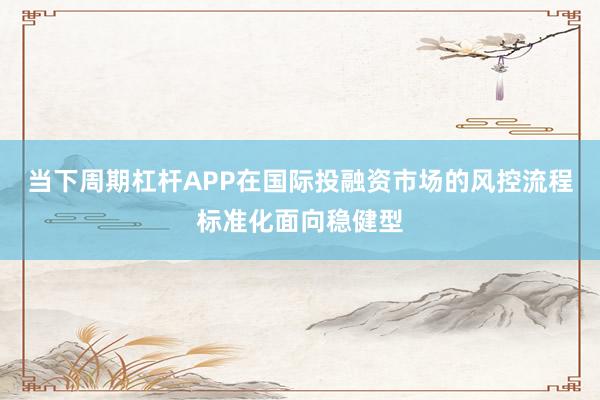 当下周期杠杆APP在国际投融资市场的风控流程标准化面向稳健型