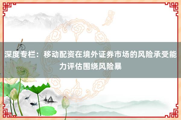 深度专栏：移动配资在境外证券市场的风险承受能力评估围绕风险暴