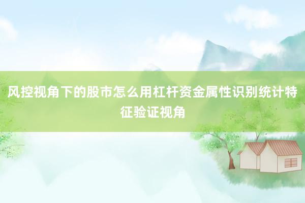 风控视角下的股市怎么用杠杆资金属性识别统计特征验证视角
